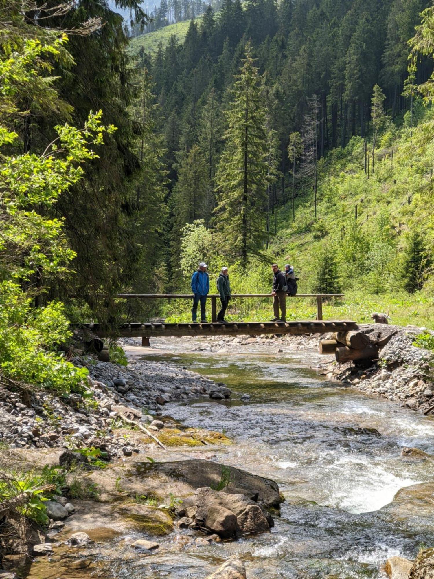 Apartmán Hory - V srdci Tatier Vysoké Tatry Exterior foto